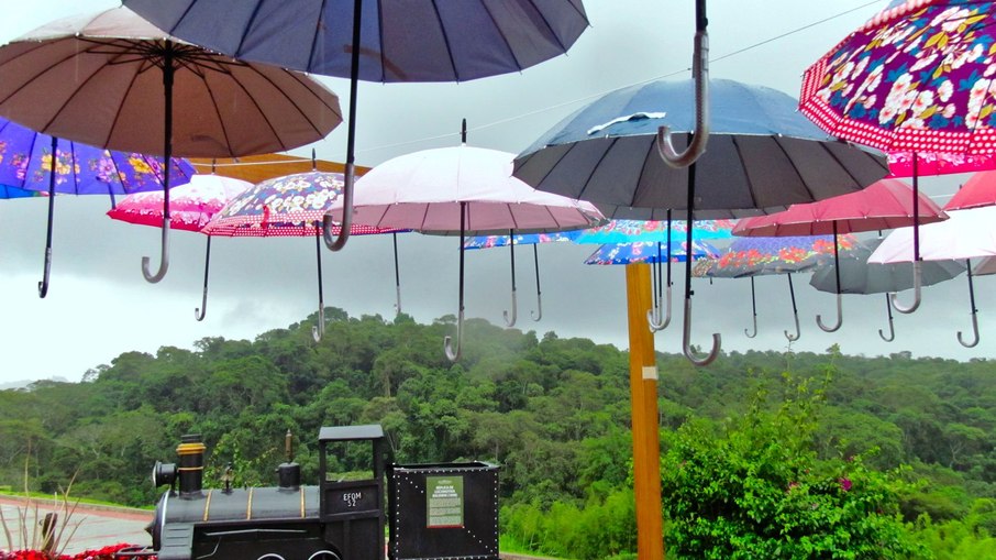 Rota do Vinho de São Roque (SP)