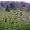 Green Wood Cemetery. Foto: Wikipedia