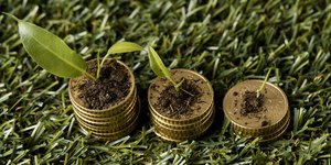 COP30 e o calote climático dos países ricos: quem paga a conta?