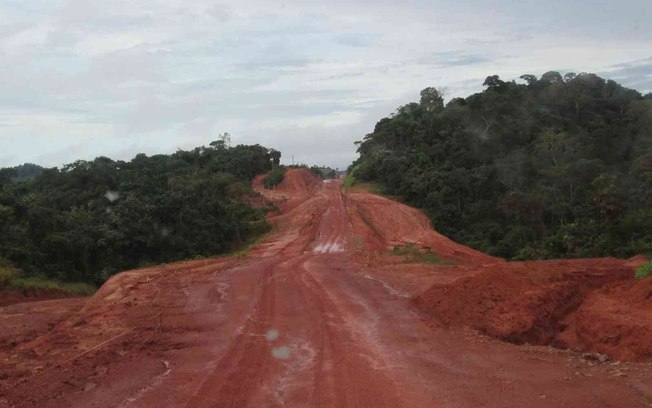 As estradas na Amazônia e o desmatamento