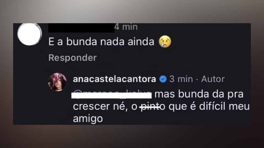 Ana Castela rebate comentário de seguidor.