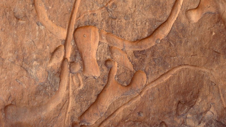 Tassili n'Ajjer, na Argélia Tassili n'Ajjer, na Argélia