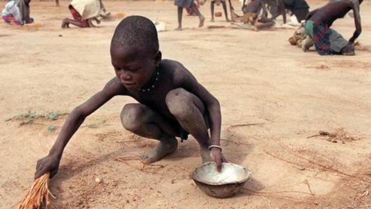 Fome afetou mais de 700 milhões de pessoas no mundo em 2021, diz ONU