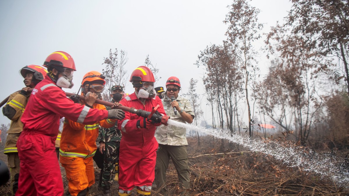 Bombeiros testam o pó antichamas brasileiro ‘Realiza Antichamas’ na região de Palembang, Sumatra do Sul, Indonésia Bombeiros testam o pó antichamas brasileiro ‘Realiza Antichamas’ na região de Palembang, Sumatra do Sul, Indonésia