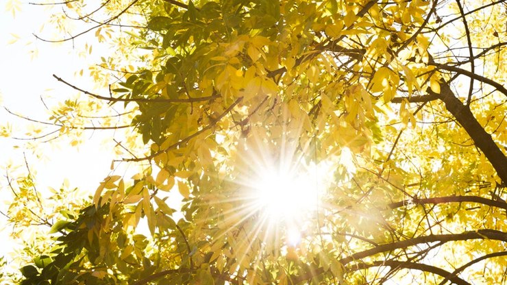 Animação e bom humor com Sol em Gêmeos: as previsões da semana de 18 a 24/05