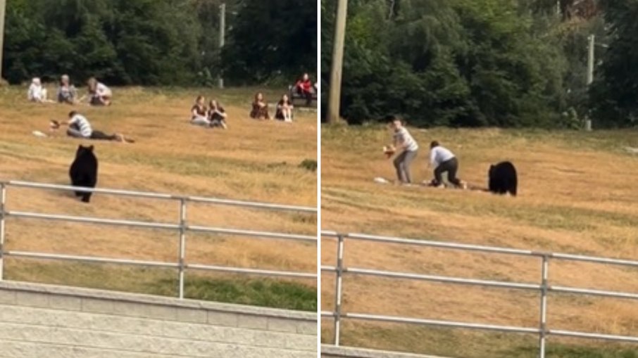 Casal com fones não vê urso se aproximar e quase é atacado; assista