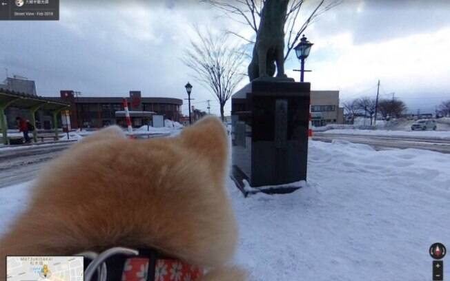 O novo projeto do Google Japão é criar um Street View pelos olhos de um cachorro