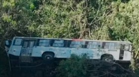 Estudante carioca abre a geladeira e encontra um macaco-prego