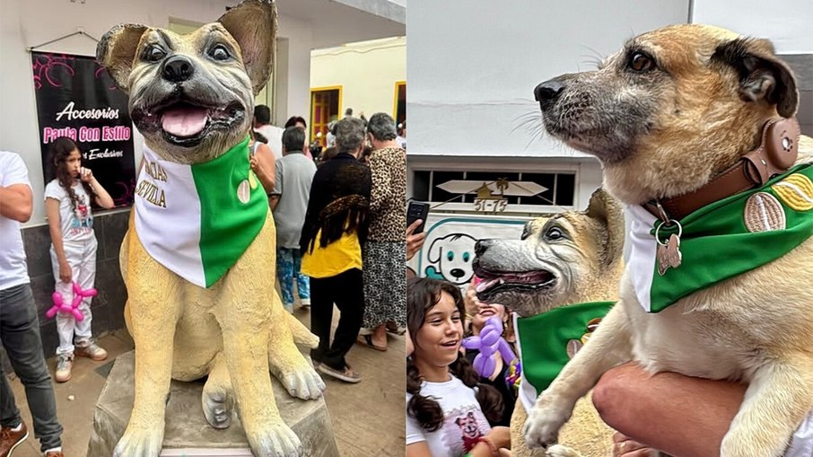 Cidade inaugura estátua em homenagem a cão querido