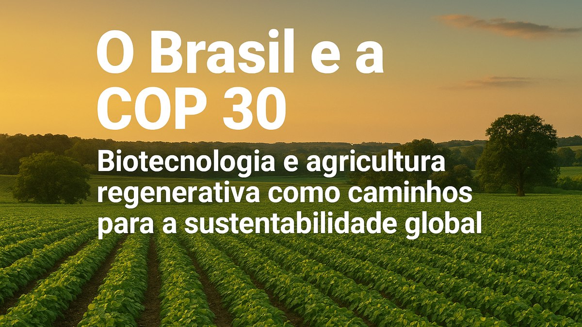 O Brasil e a Cop 30 O Brasil e a Cop 30