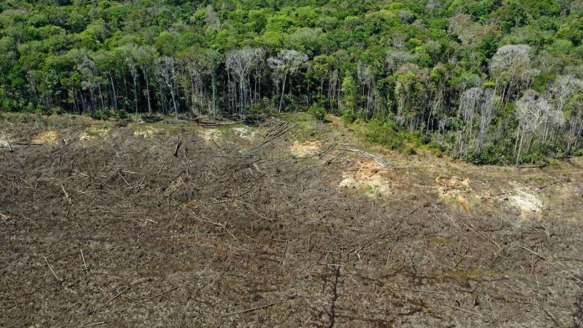 Imagem aérea mostra desmatamento em região próxima a Sinop, no Mato Grosso 
