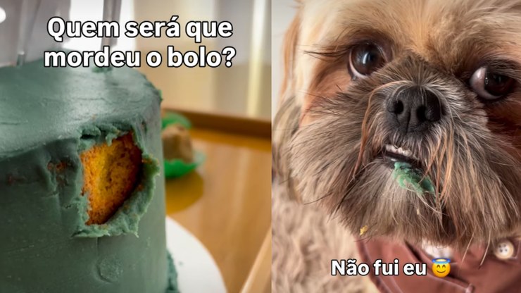 Shih tzu é “desmascarado” após aparecer com a boca suja de bolo