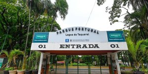 Parques e bosques de Campinas são fechados após queda de árvores