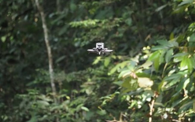 Corrida contra o tempo: como novas tecnologias podem contribuir para evitar o ponto de não retorno das florestas tropicais