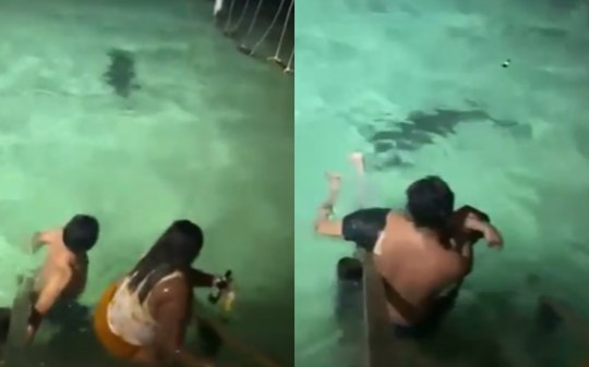 Turistas escapam de ataque de crocodilo durante mergulho