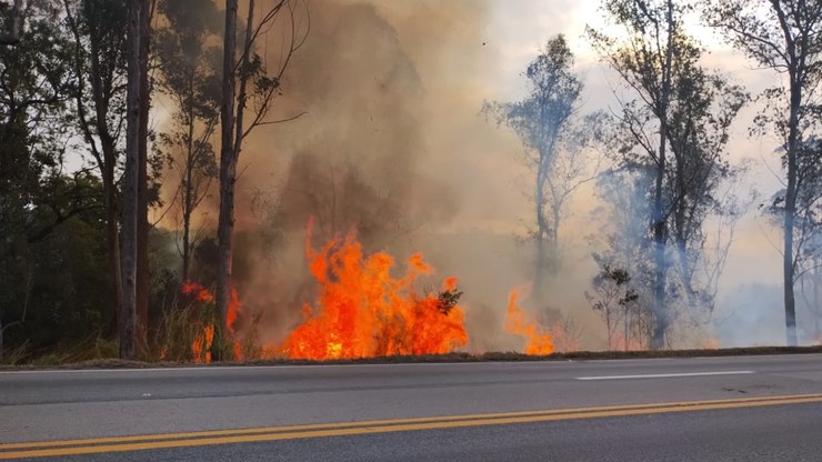 MG: calor e baixa umidade aumentam incêndios às margens da BR-040
