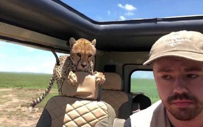 turista explicou que seu guia o mostrou como reagir diante dos guepardos e também o ajudou a diminuir a respiração