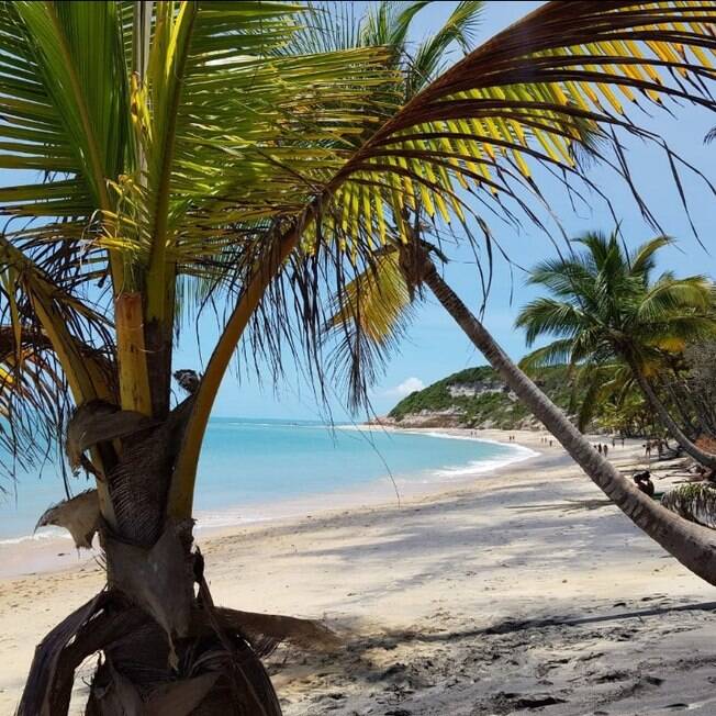 praia dos coqueiros