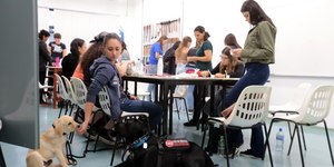 Companheiro de quatro patas ajuda jovem com autismo a estudar