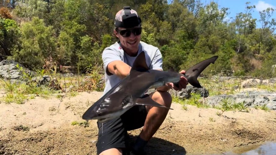 Pescador segura tubarão-cabeça-chata após capturar o animal em um rio na Austrália Pescador segura tubarão-cabeça-chata após capturar o animal em um rio na Austrália