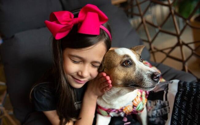 Festas de fim de ano: florais ajudam a minimizar estresse dos pets causado pela queima de fogos