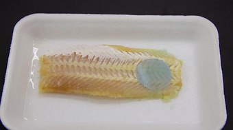 Recipiente%20muda%20de%20cor%20para%20avisar%20que%20o%20peixe%20estragou