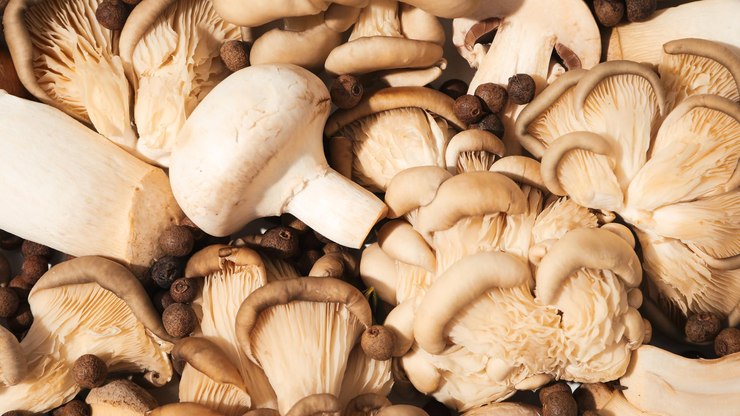 Com alerta de tempestades, Campinas terá chuva