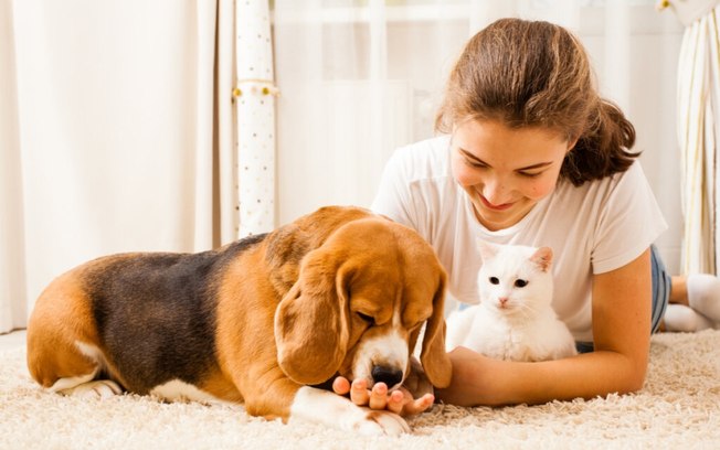 7 dicas para uma boa convivência com animais em condomínio