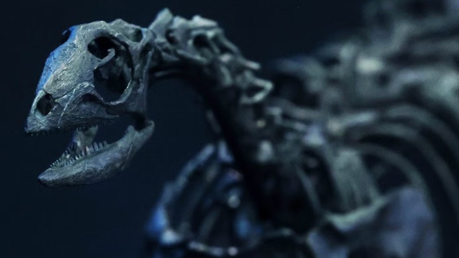 Cientistas descobrem, sem querer, espécie inédita de dinossauro Cientistas descobrem, sem querer, espécie inédita de dinossauro