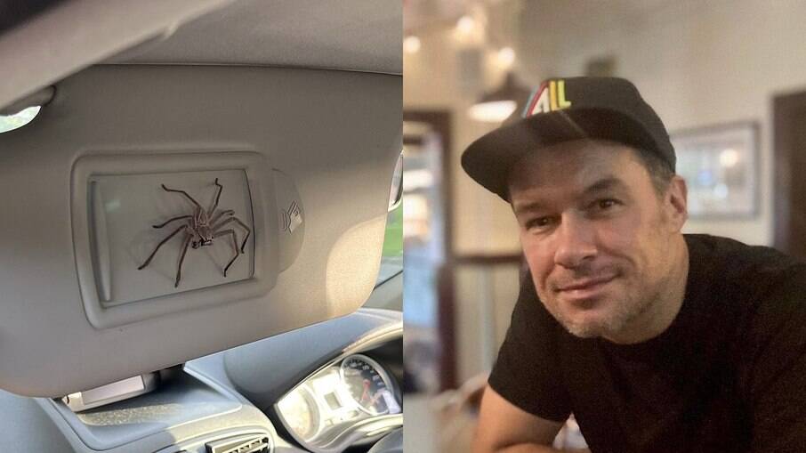 Ele encontrou a aranha no carro e a chamou de Steve