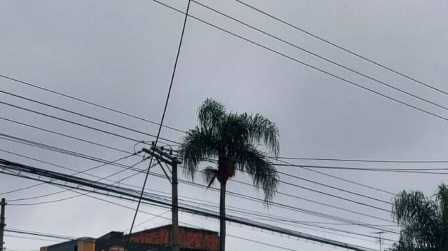 Semáforo fica no cruzamento da avenida Emílio Ribas com a rua Diogo Botelho. Semáforo fica no cruzamento da avenida Emílio Ribas com a rua Diogo Botelho.