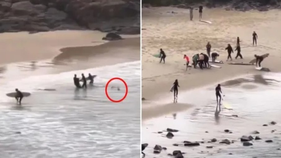Vídeo mostra tubarão perseguindo e atacando adolescente Vídeo mostra tubarão perseguindo e atacando adolescente