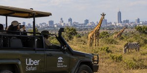 Uber Safari lança passeios na savana a partir de R$ 780; entenda