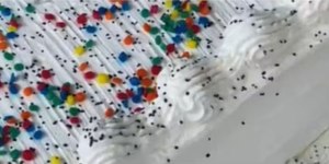 Homem suspeito de envenenar bolos de festa infantil é preso no RJ