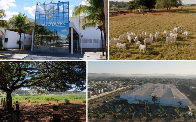 MEC concede Nota 5 ao curso de Ciências Biológicas