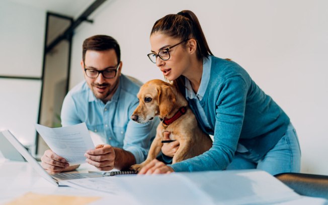 Pet Day: 9 itens para o dia de levar o cachorro ao trabalho