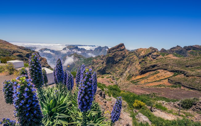 5 paisagens marcantes da Ilha da Madeira, em Portugal