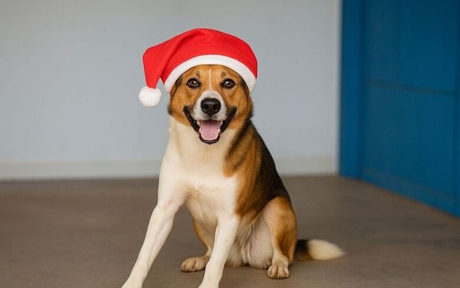 Feira de adoção do canil municipal oferece mais de 270 animais neste sábado