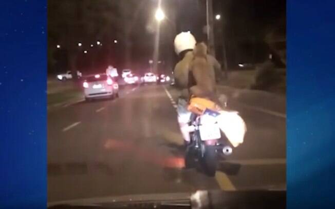 Vídeo de cachorro andando em garupa de moto