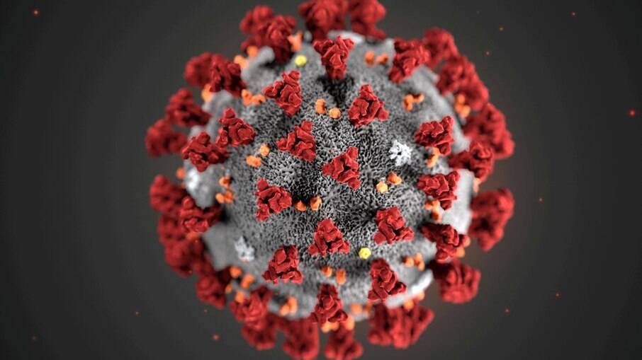 Novos estudos ajudam a entender o impacto do novo coronavírus no cérebro humano