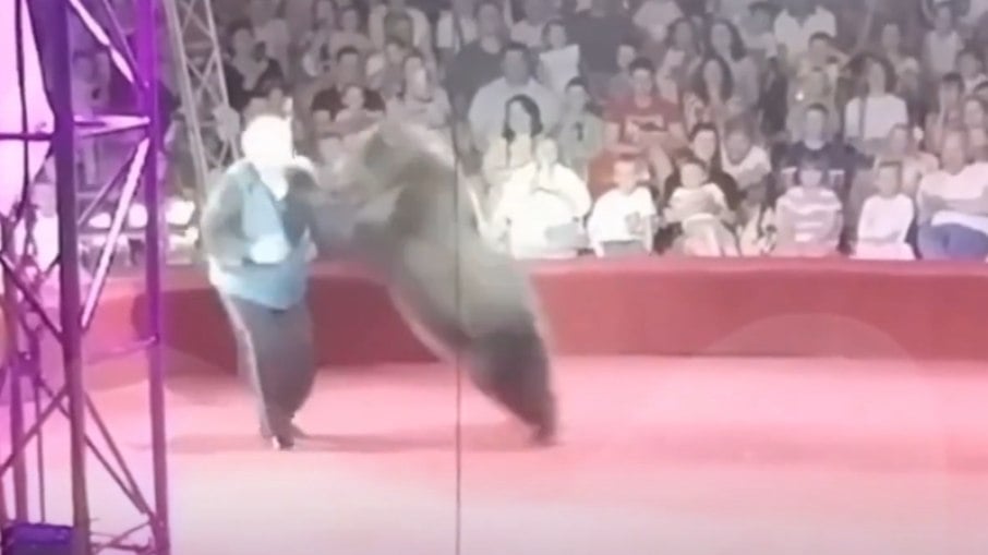 Ursa se revoltou no meio da apresentação