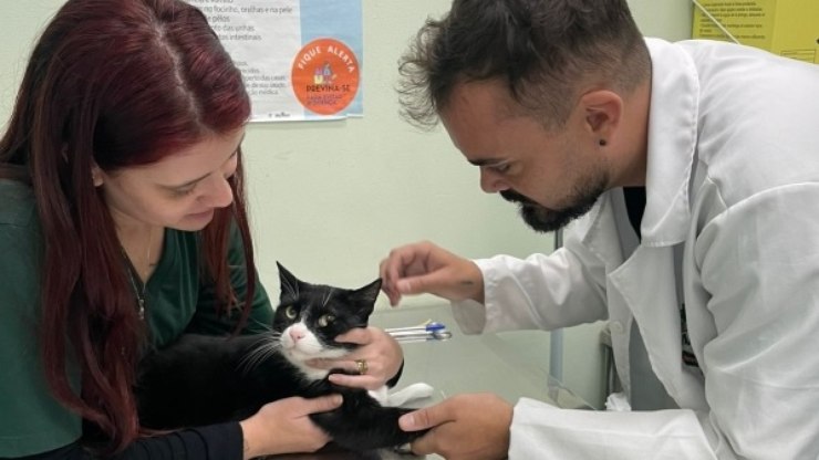 Valinhos inicia parceria para doação de sangue animal