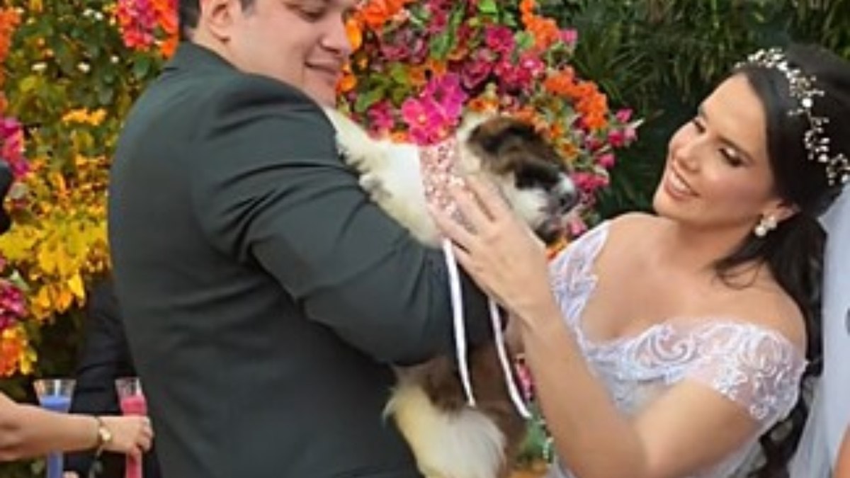 Noiva é surpreendida por cadelinha ciumenta em casamento