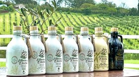 Estância das Oliveiras: fazenda é referência mundial de azeite