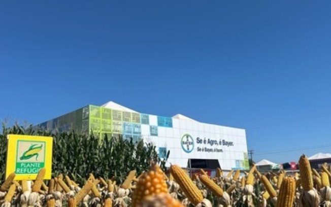 Bayer destaca soluções integradas para a safrinha de milho na Tecnoshow Comigo Bayer destaca soluções integradas para a safrinha de milho na Tecnoshow Comigo