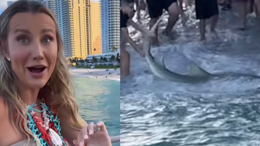 Ana Paula Siebert encontra tubarão nas margens de praia em Miami