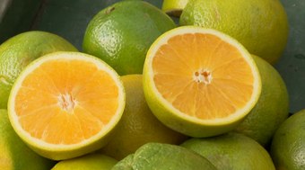 Saiba%20os%20benef%C3%ADcios%20da%20laranja%20no%20inverno