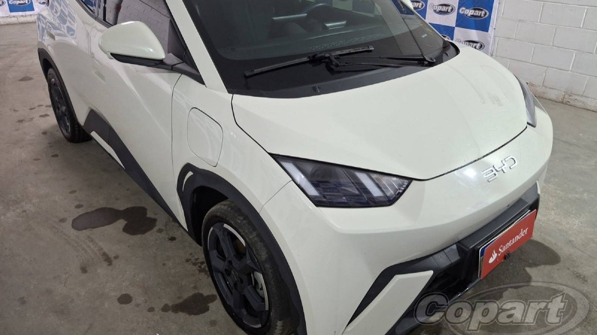 Dolphin Mini entra em leilão com chance de desconto de até 30%