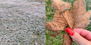 Chuva segue no Norte e geada no Sul e Sudeste; veja previsão
