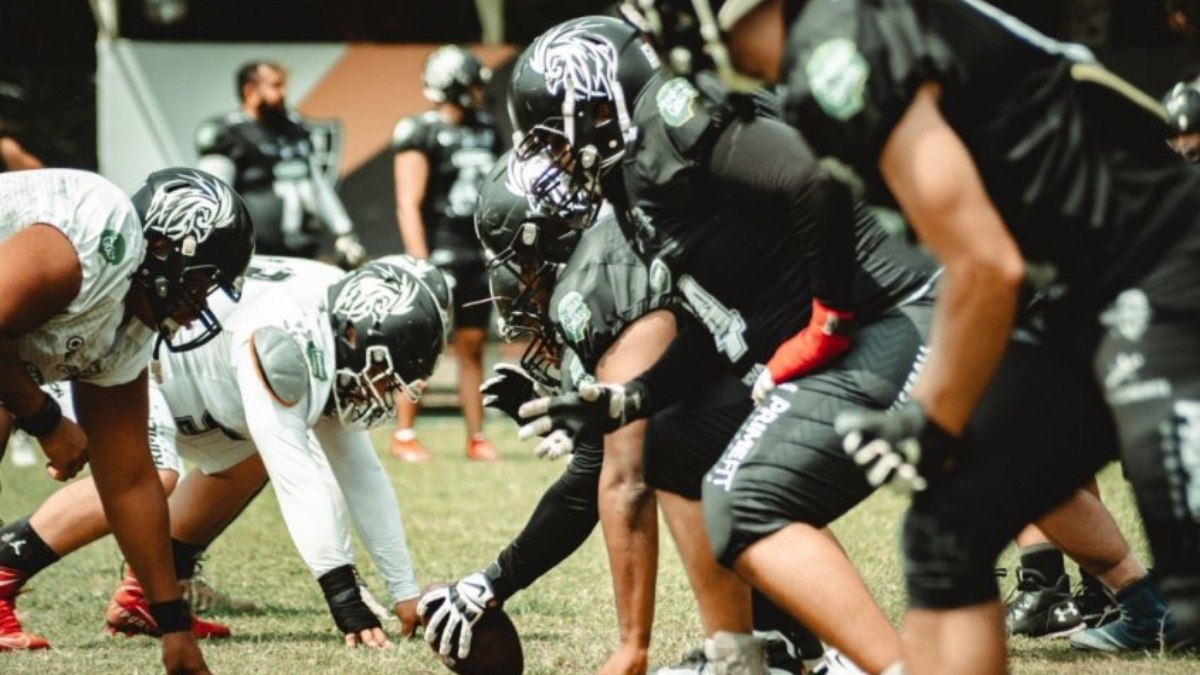 FEMFA - Federação Mineira de Futebol Americano